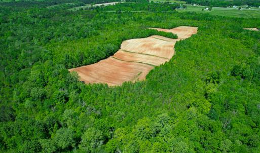 Photo #32 of SOLD property in Off Philpott Road, South Boston, VA 89.0 acres