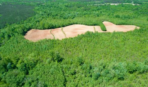 Photo #33 of SOLD property in Off Philpott Road, South Boston, VA 89.0 acres