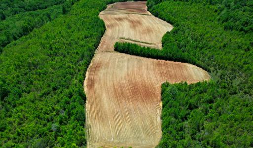 Photo #35 of SOLD property in Off Philpott Road, South Boston, VA 89.0 acres
