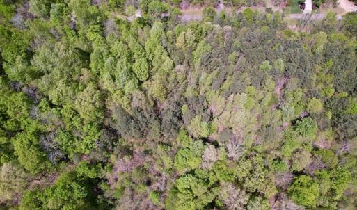 Photo #12 of Off Harbor Drive, Macon, NC 1.0 acres