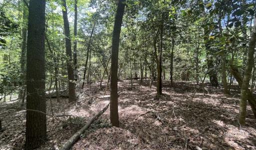 Photo #10 of Off Hideway Cove Road, Exmore, VA 1.4 acres