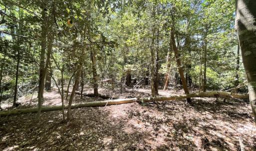 Photo #11 of Off Hideway Cove Road, Exmore, VA 1.4 acres