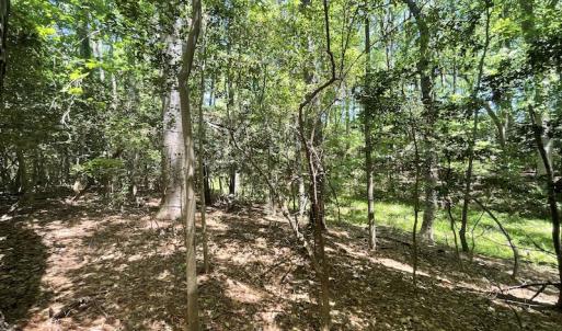 Photo #12 of Off Hideway Cove Road, Exmore, VA 1.4 acres