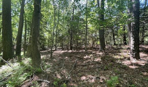 Photo #13 of Off Hideway Cove Road, Exmore, VA 1.4 acres