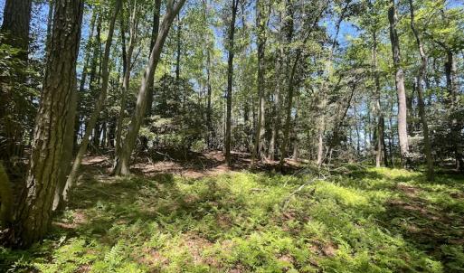 Photo #14 of Off Hideway Cove Road, Exmore, VA 1.4 acres