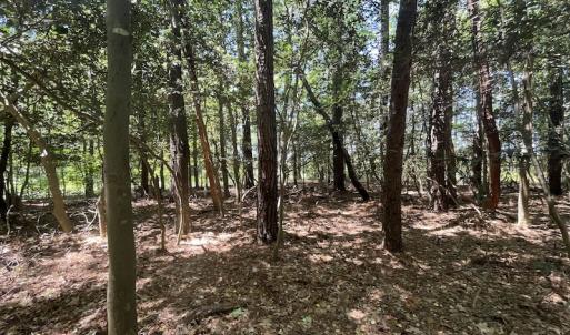 Photo #15 of Off Hideway Cove Road, Exmore, VA 1.4 acres