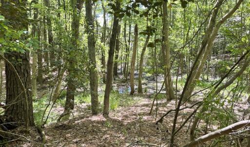 Photo #9 of Off Hideway Cove Road, Exmore, VA 1.4 acres