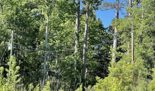 Photo #31 of Off Gurley Road, Marion, SC 134.7 acres