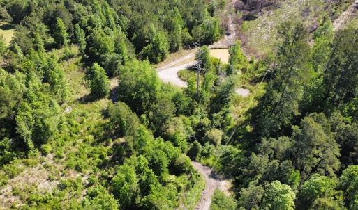 Photo #32 of Off Gurley Road, Marion, SC 134.7 acres