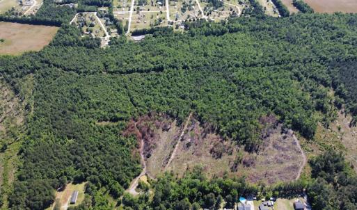 Photo #33 of Off Gurley Road, Marion, SC 134.7 acres