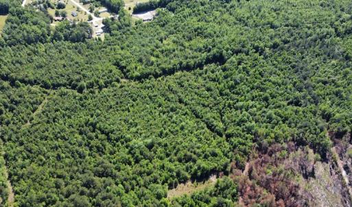 Photo #36 of Off Gurley Road, Marion, SC 134.7 acres