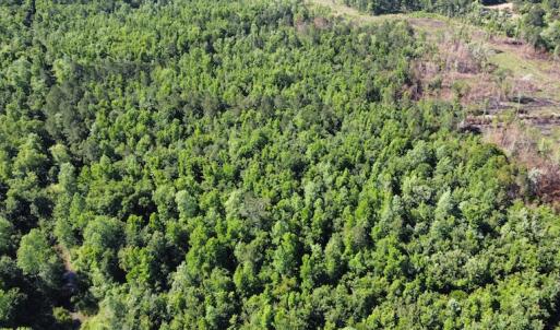 Photo #37 of Off Gurley Road, Marion, SC 134.7 acres