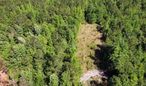Photo #38 of Off Gurley Road, Marion, SC 134.7 acres
