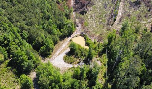 Photo #42 of Off Gurley Road, Marion, SC 134.7 acres