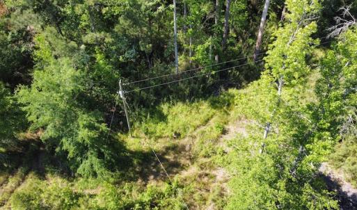 Photo #46 of Off Gurley Road, Marion, SC 134.7 acres