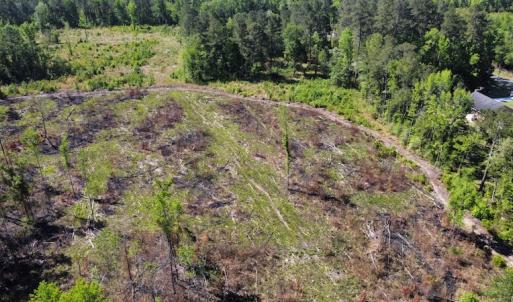 Photo #48 of Off Gurley Road, Marion, SC 134.7 acres