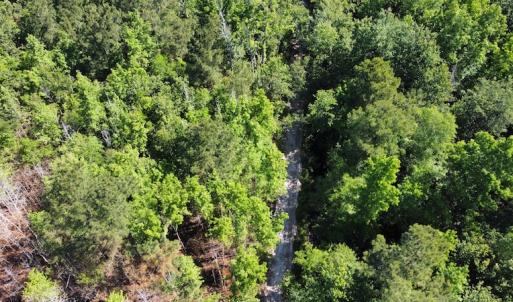 Photo #49 of Off Gurley Road, Marion, SC 134.7 acres