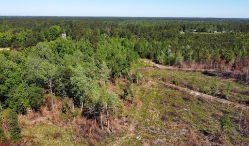 Photo #50 of Off Gurley Road, Marion, SC 134.7 acres