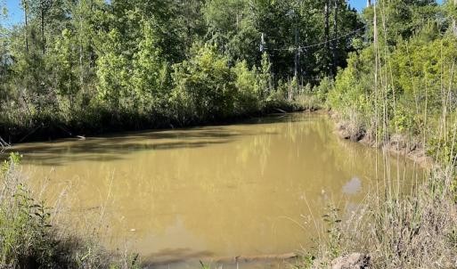 Photo #5 of Off Gurley Road, Marion, SC 134.7 acres