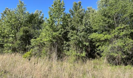 Photo #10 of Off Gurley Road, Marion, SC 134.7 acres
