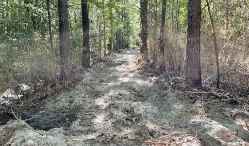 Photo #22 of Off Gurley Road, Marion, SC 134.7 acres