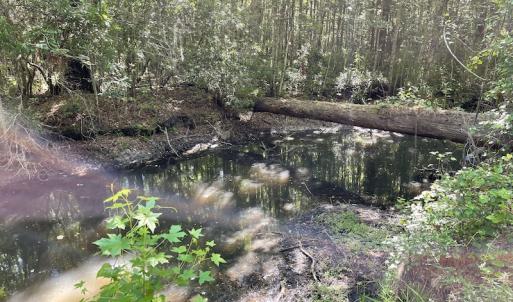 Photo #26 of Off Gurley Road, Marion, SC 134.7 acres