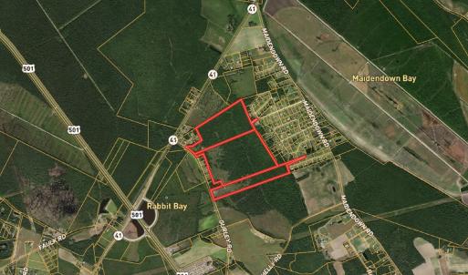 Photo #1 of Off Gurley Road, Marion, SC 134.7 acres