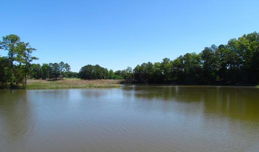 Photo #12 of SOLD property in Off Crittenden Road, Suffolk, VA 6.8 acres