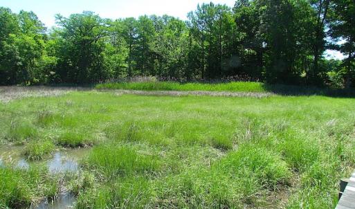 Photo #16 of SOLD property in Off Crittenden Road, Suffolk, VA 6.8 acres