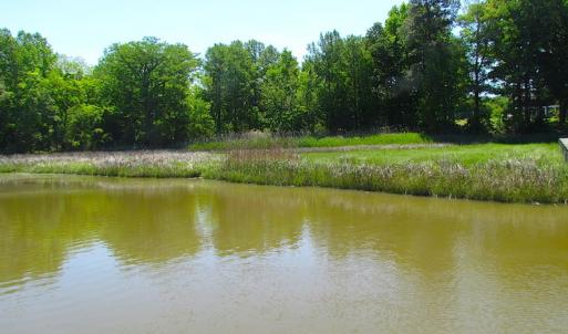 Photo #17 of SOLD property in Off Crittenden Road, Suffolk, VA 6.8 acres