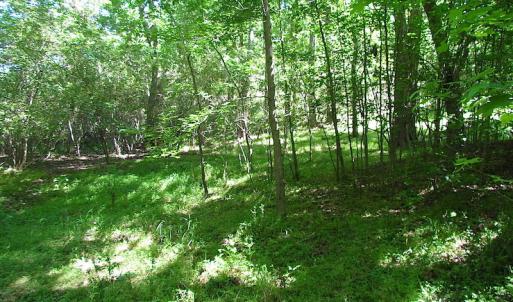 Photo #22 of SOLD property in Off Crittenden Road, Suffolk, VA 6.8 acres