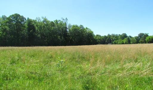 Photo #24 of SOLD property in Off Crittenden Road, Suffolk, VA 6.8 acres
