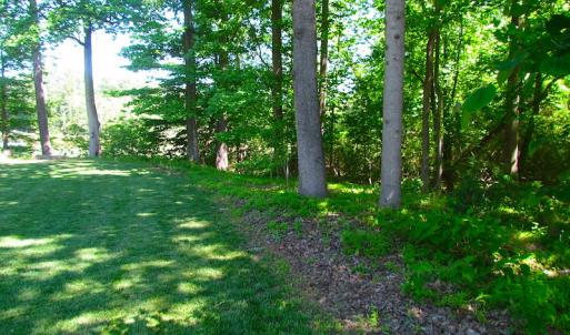 Photo #25 of SOLD property in Off Crittenden Road, Suffolk, VA 6.8 acres