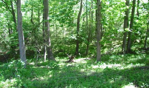 Photo #26 of SOLD property in Off Crittenden Road, Suffolk, VA 6.8 acres