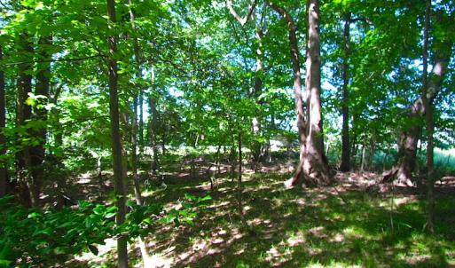 Photo #28 of SOLD property in Off Crittenden Road, Suffolk, VA 6.8 acres