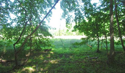 Photo #29 of SOLD property in Off Crittenden Road, Suffolk, VA 6.8 acres