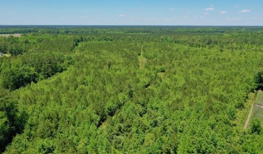 Photo #2 of SOLD property in Off Minor Run Road, Blounts Creek, NC 48.0 acres