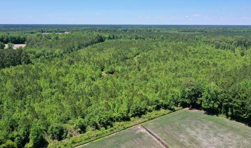 Photo #3 of SOLD property in Off Minor Run Road, Blounts Creek, NC 48.0 acres