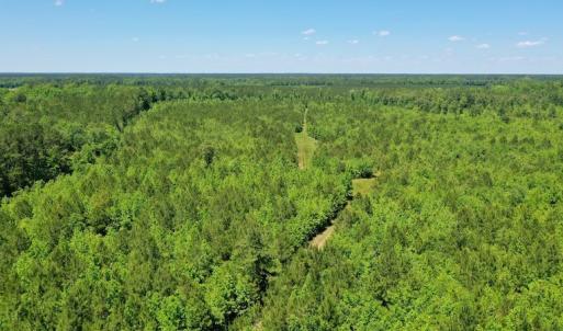 Photo #5 of SOLD property in Off Minor Run Road, Blounts Creek, NC 48.0 acres