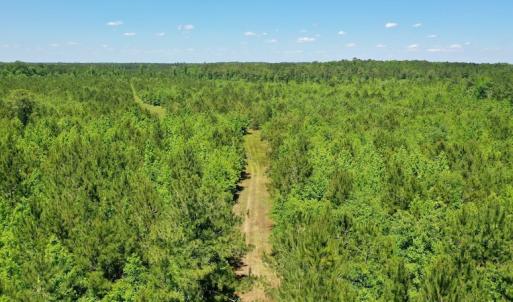 Photo #6 of SOLD property in Off Minor Run Road, Blounts Creek, NC 48.0 acres