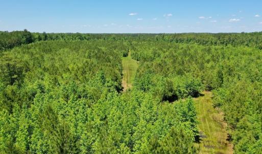 Photo #7 of SOLD property in Off Minor Run Road, Blounts Creek, NC 48.0 acres