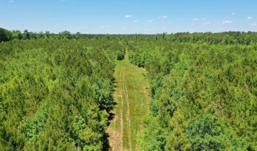 Photo #8 of SOLD property in Off Minor Run Road, Blounts Creek, NC 48.0 acres