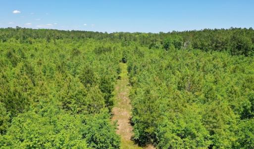 Photo #9 of SOLD property in Off Minor Run Road, Blounts Creek, NC 48.0 acres