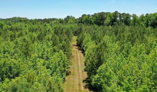 Photo #10 of SOLD property in Off Minor Run Road, Blounts Creek, NC 48.0 acres