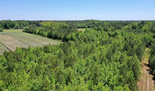 Photo #11 of SOLD property in Off Minor Run Road, Blounts Creek, NC 48.0 acres