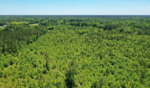 Photo #12 of SOLD property in Off Minor Run Road, Blounts Creek, NC 48.0 acres