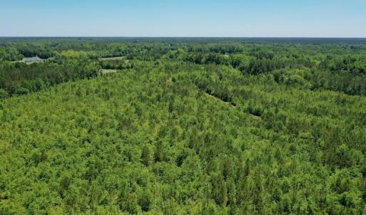 Photo #13 of SOLD property in Off Minor Run Road, Blounts Creek, NC 48.0 acres