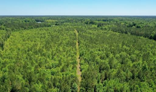 Photo #14 of SOLD property in Off Minor Run Road, Blounts Creek, NC 48.0 acres
