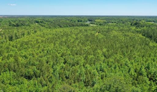 Photo #15 of SOLD property in Off Minor Run Road, Blounts Creek, NC 48.0 acres