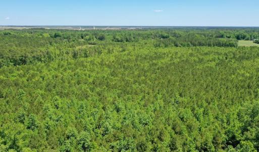 Photo #16 of SOLD property in Off Minor Run Road, Blounts Creek, NC 48.0 acres